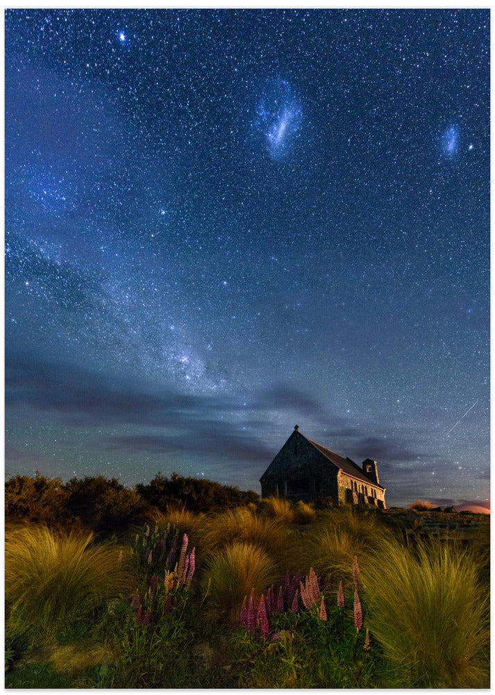 Lupins Milkway of Lake Tekapo