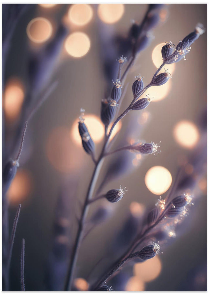 Dreamy Lavender Hues