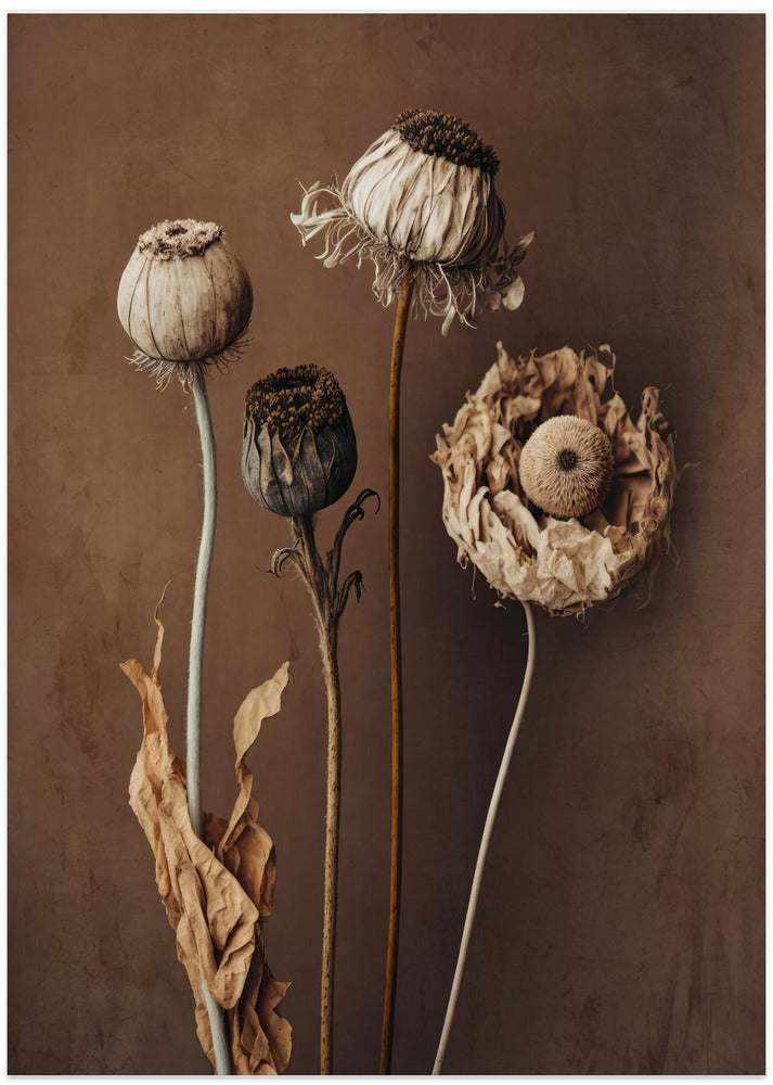 Three Dry Flowers