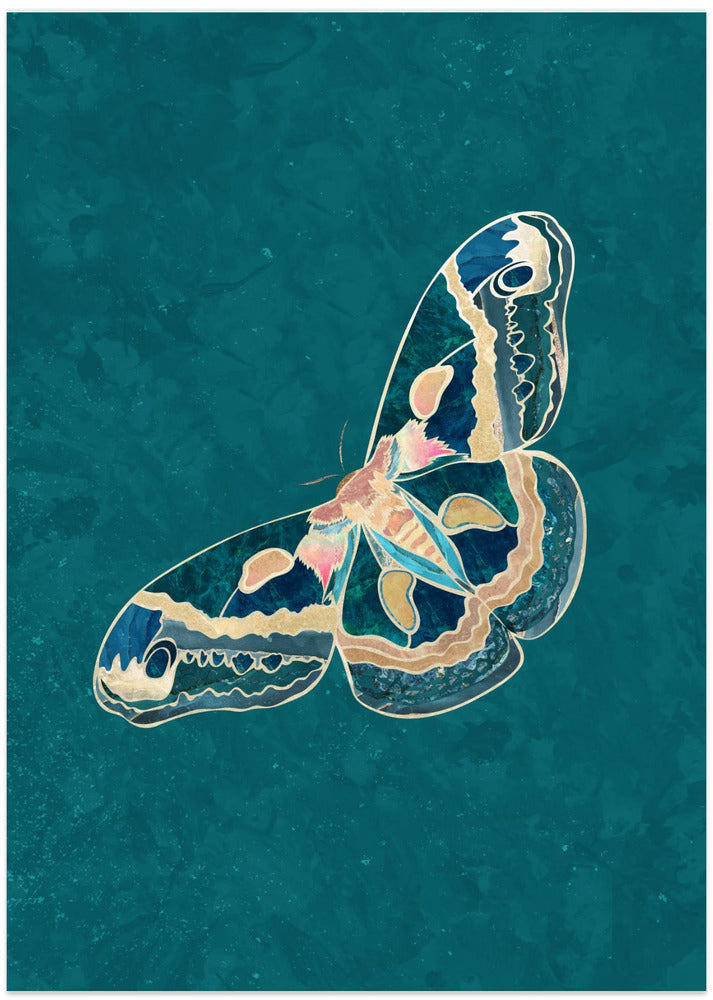 Turquoise Gold Moth Butterfly