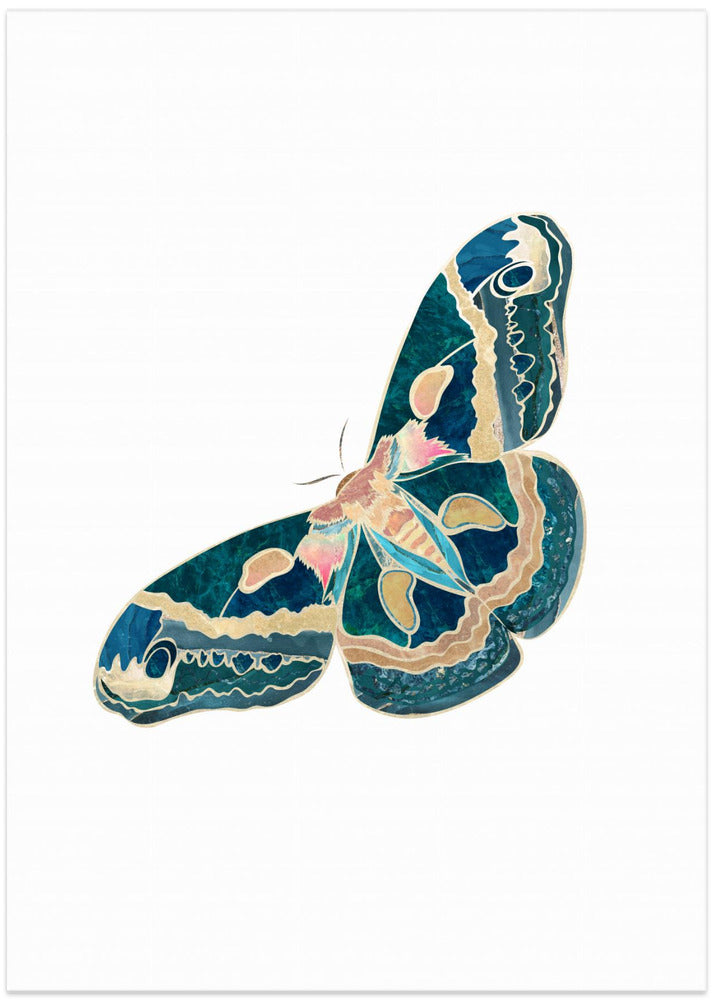 Green White Moth Butterfly