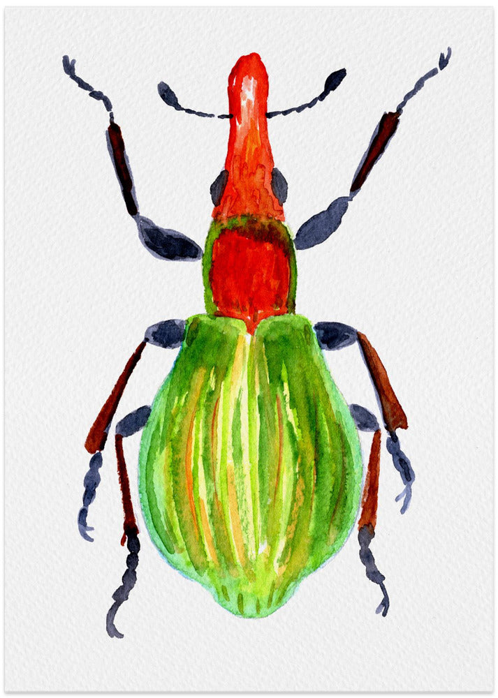 Pseudaplemonus artemisiae