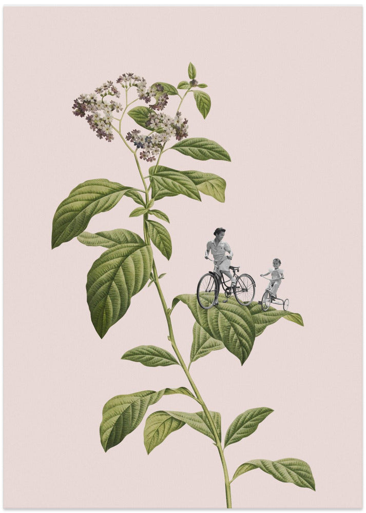 Botanical cycling