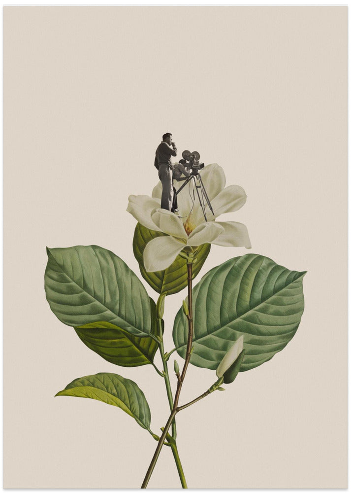 Botanical vintage cameraman