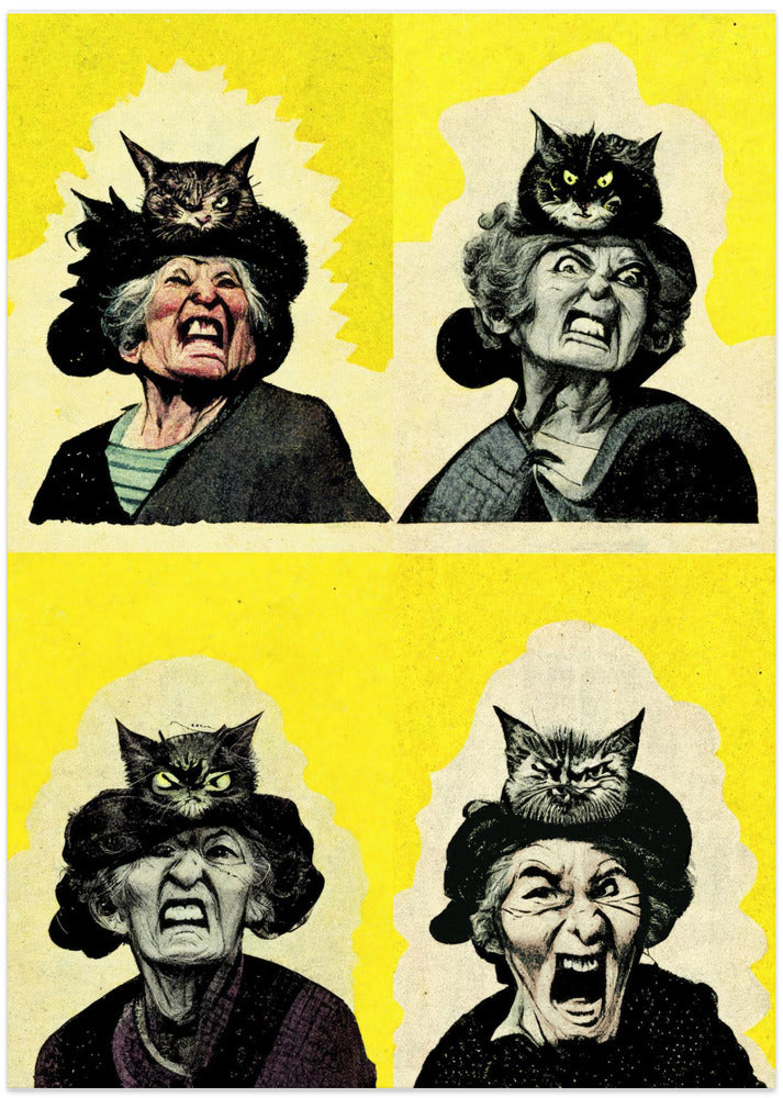 Angry Cat Lady