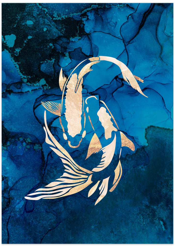 Gold koi fish swimming