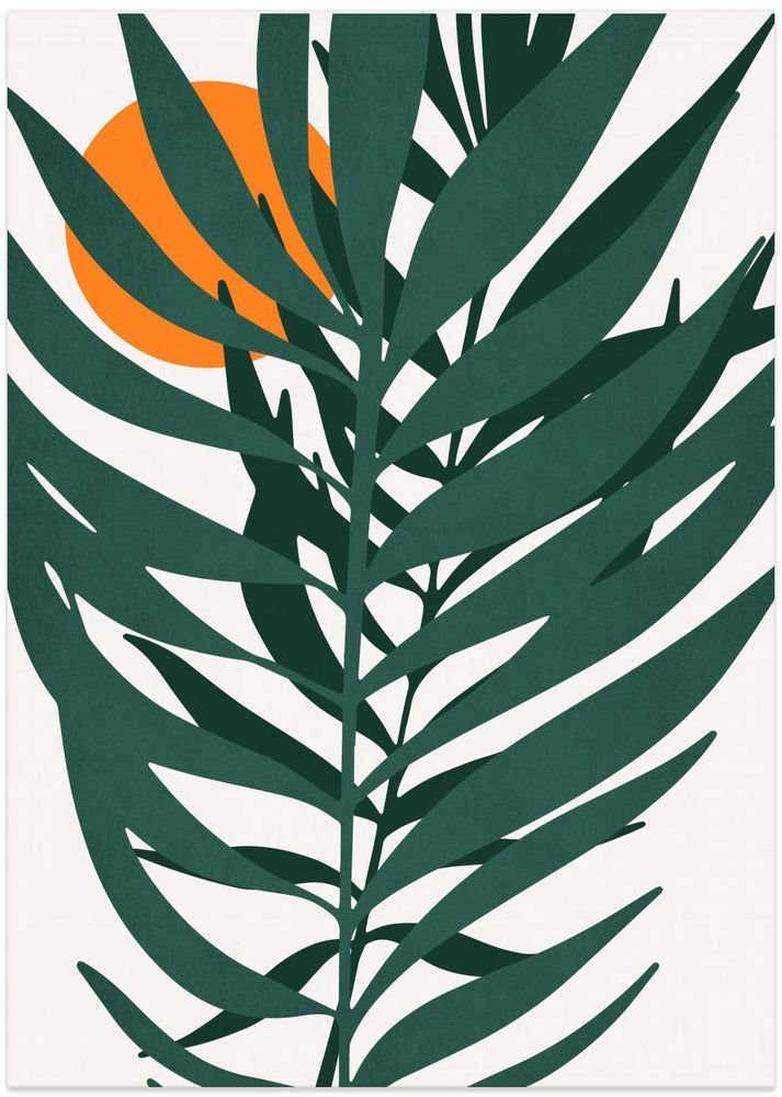 Little Miss Sunshine