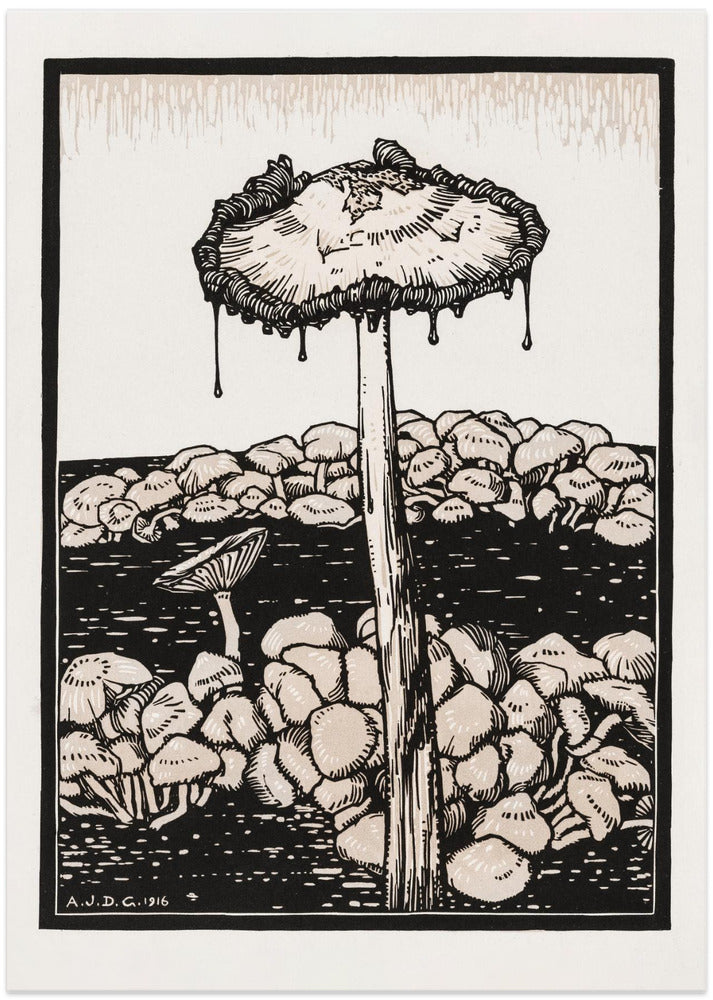Dripping Mushroom 1916