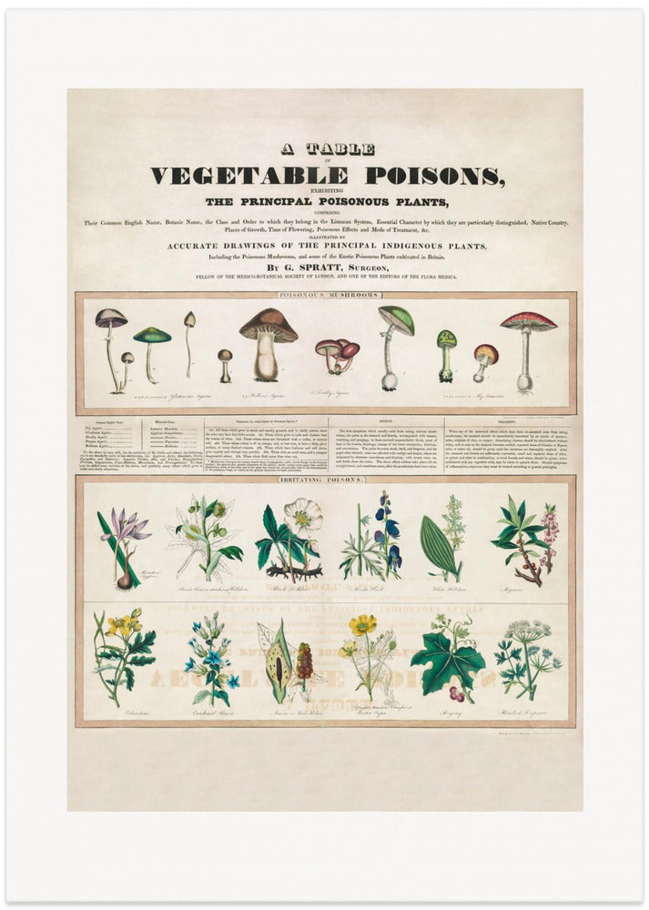 Poisonous Mushrooms Irritating Poisons