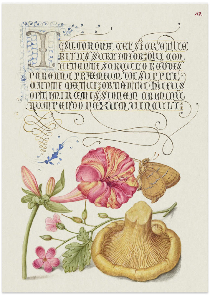 Mira Calligraphiae Monumenta