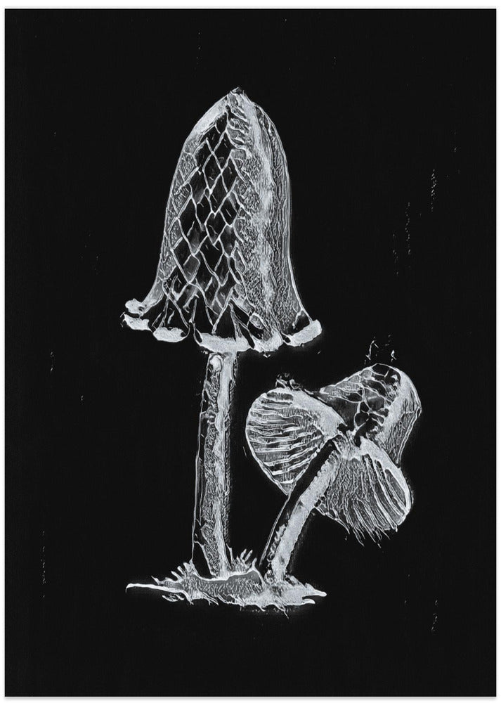 Vintage Inky Cap Edible Mushroom Dark BW