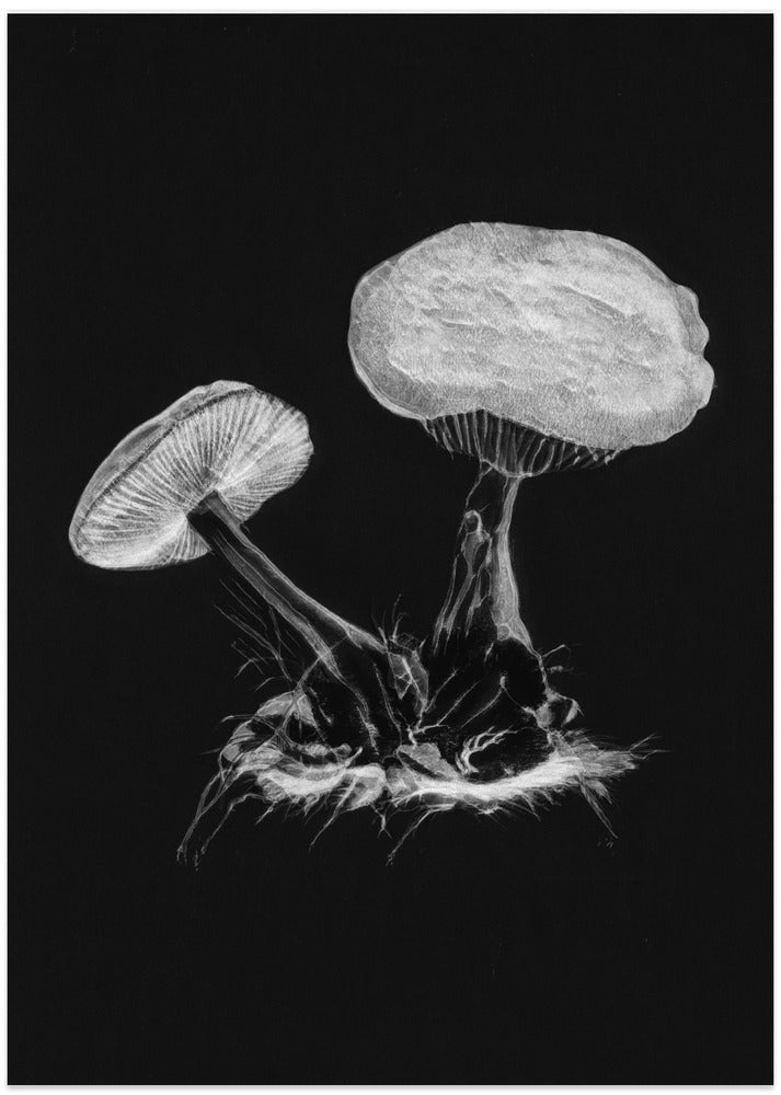 Vintage Violet Webcap Mushroom Dark BW