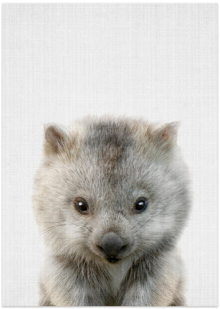 Peekaboo Baby Wombat