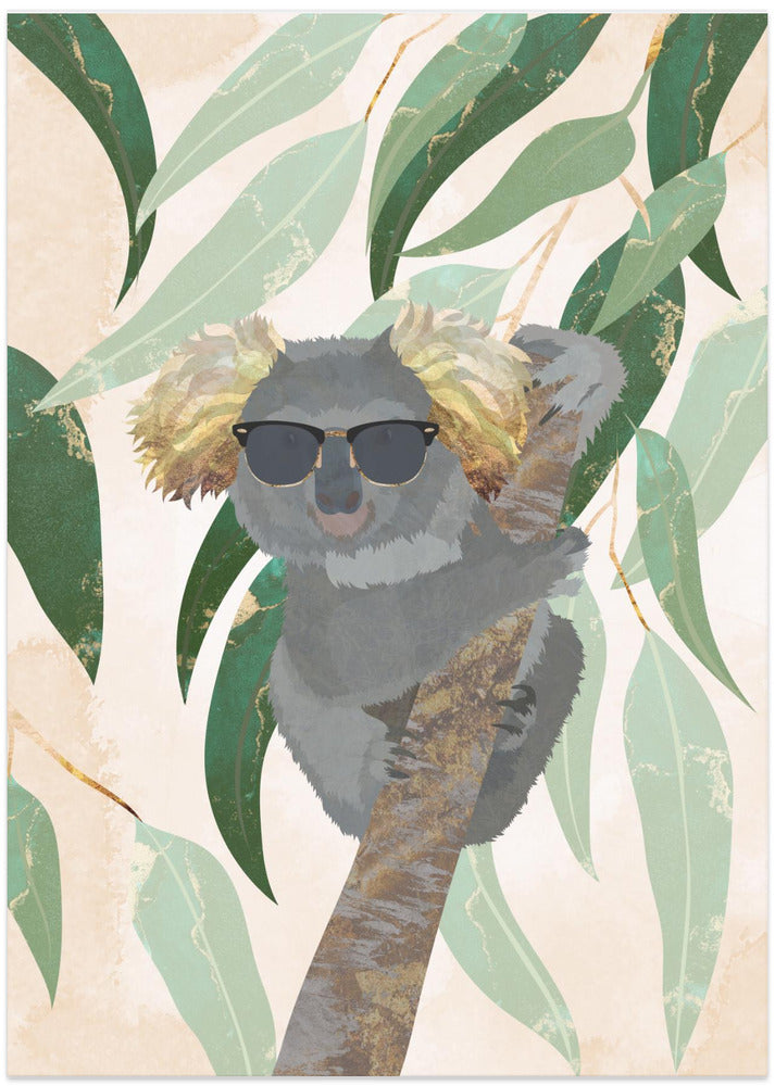 Cool Koala
