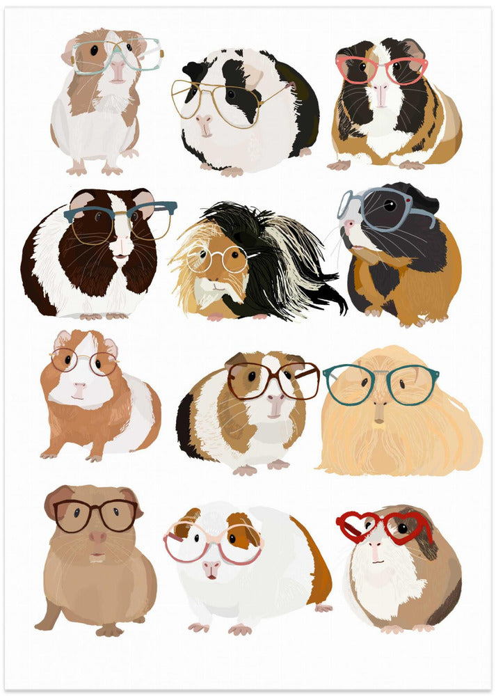 Guinea Pig in Glasses