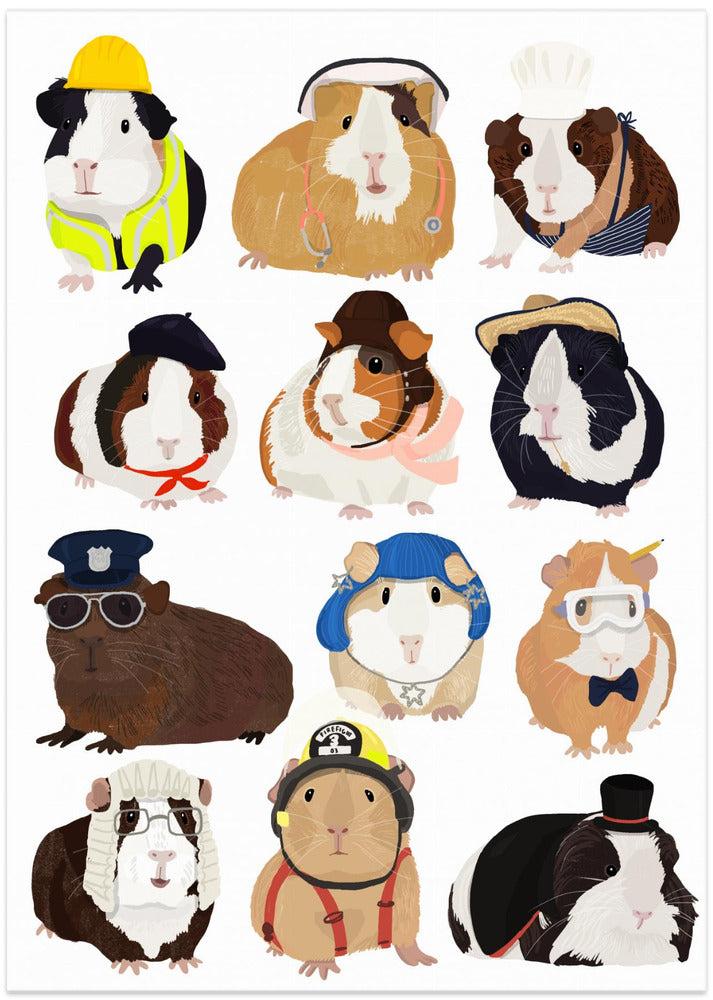 Guinea Pig Working Hr