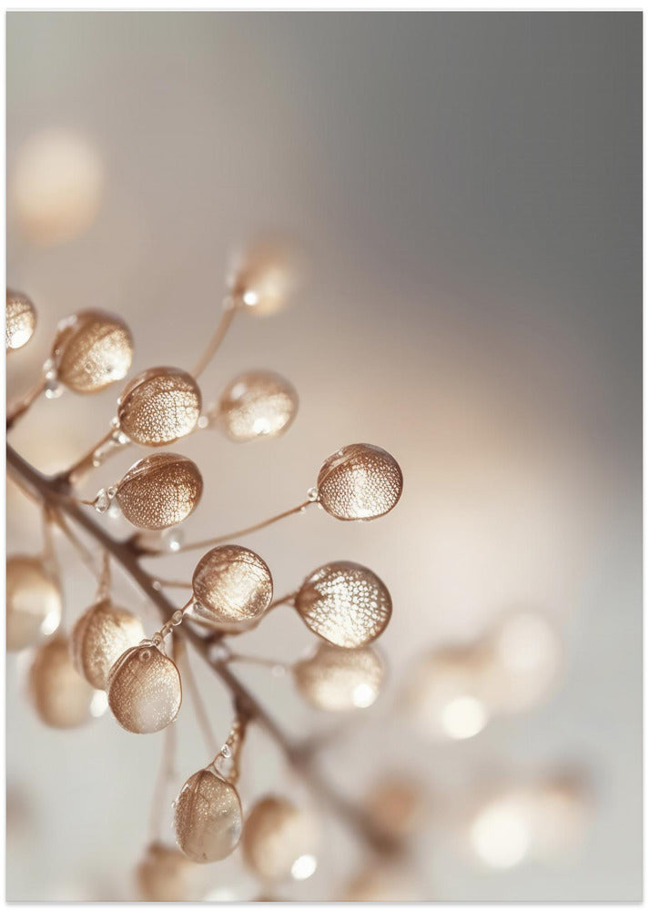 Golden Dewdrops