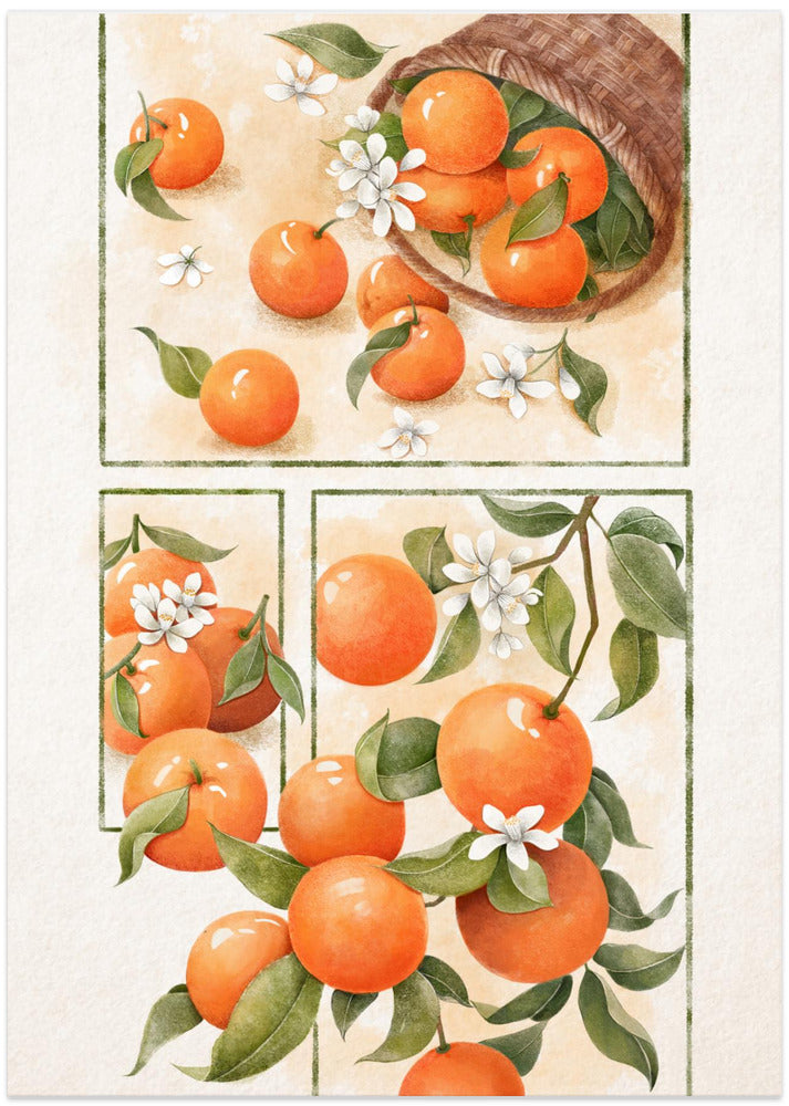 Art Prints of Orange Blossom