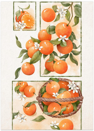 Art Prints of Orange Blossom