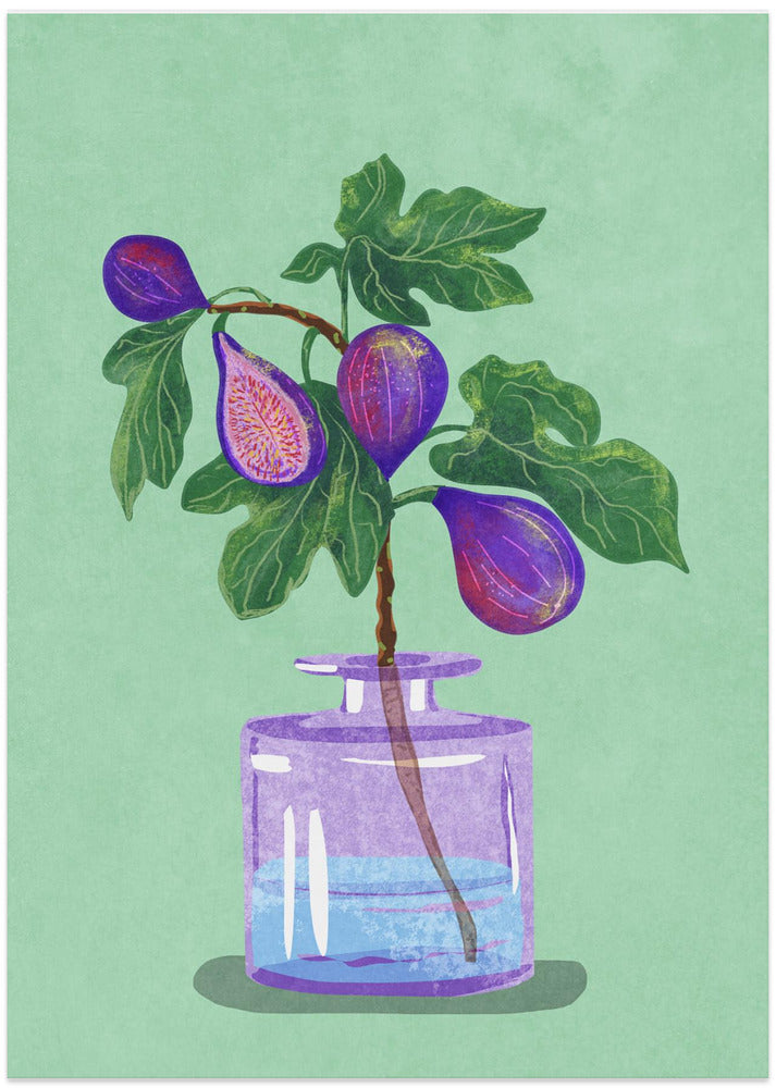Figs Branch In Vase