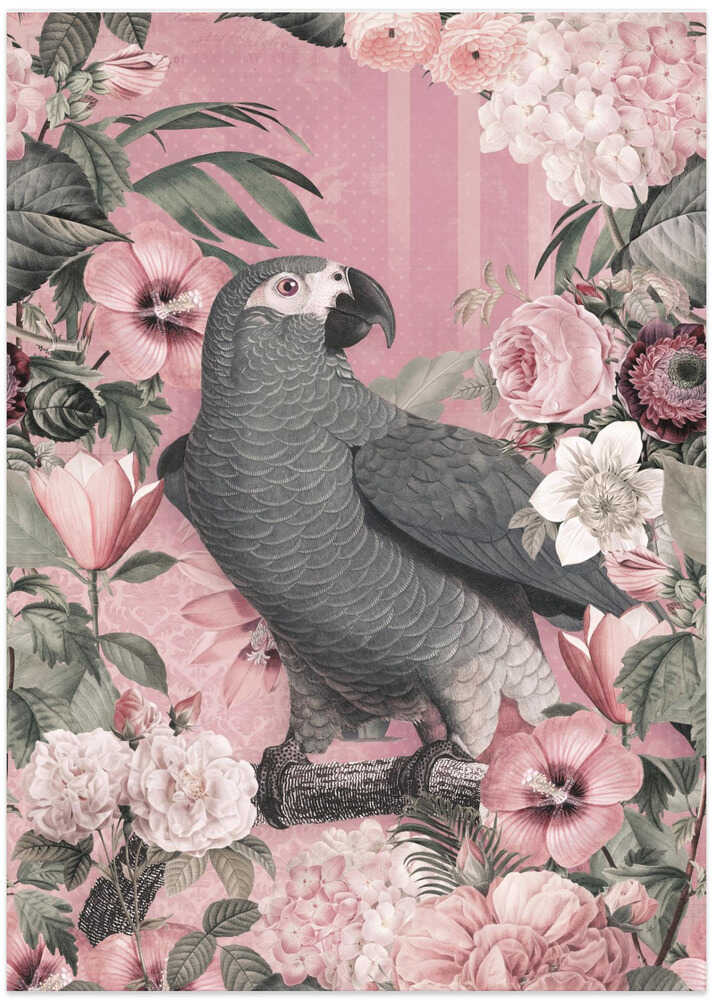 The Parrots Paradise Garden 2 Pastel Pink