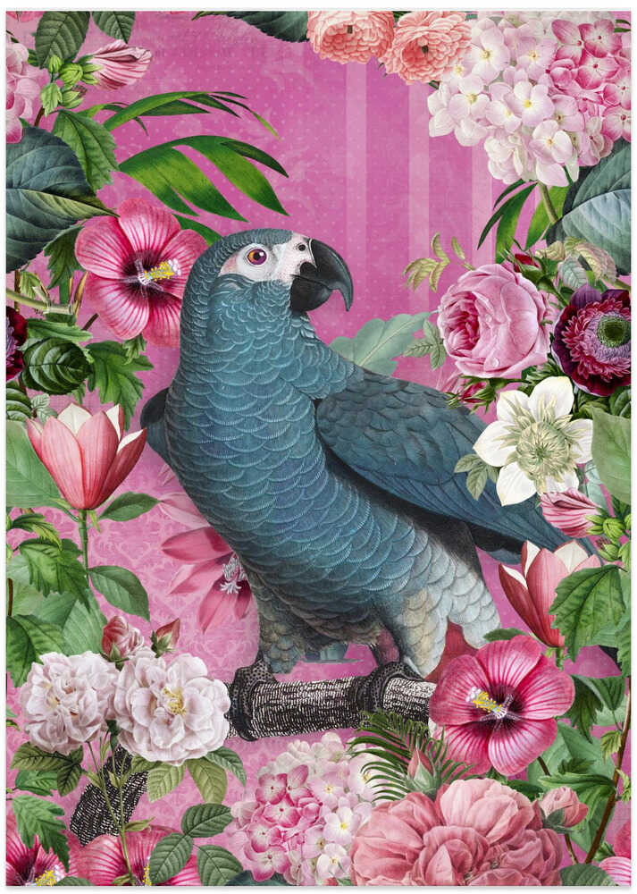 The Parrots Paradise Garden 2