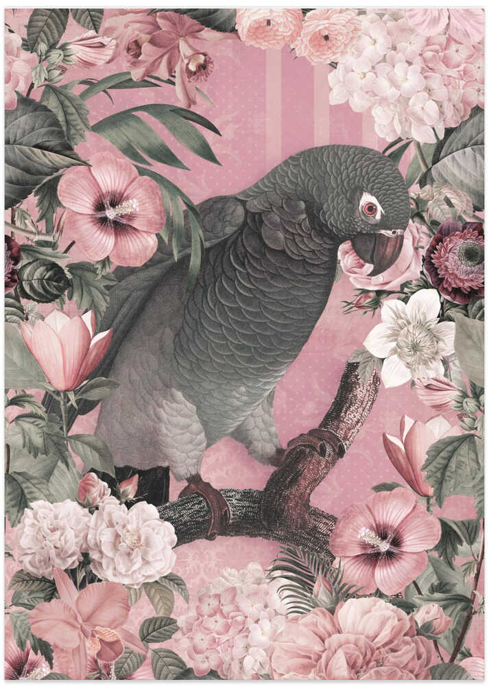 The Parrots Paradise Garden 3 Pastel Pink