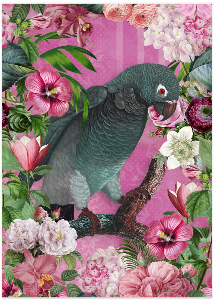 The Parrots Paradise Garden 3