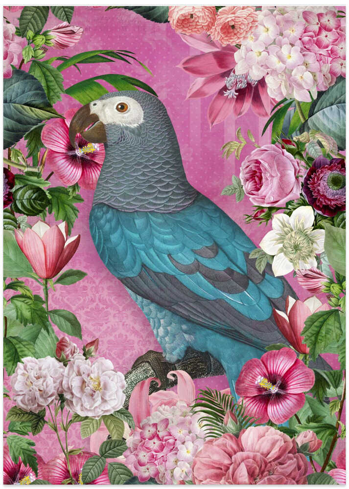 The Parrots Paradise Garden