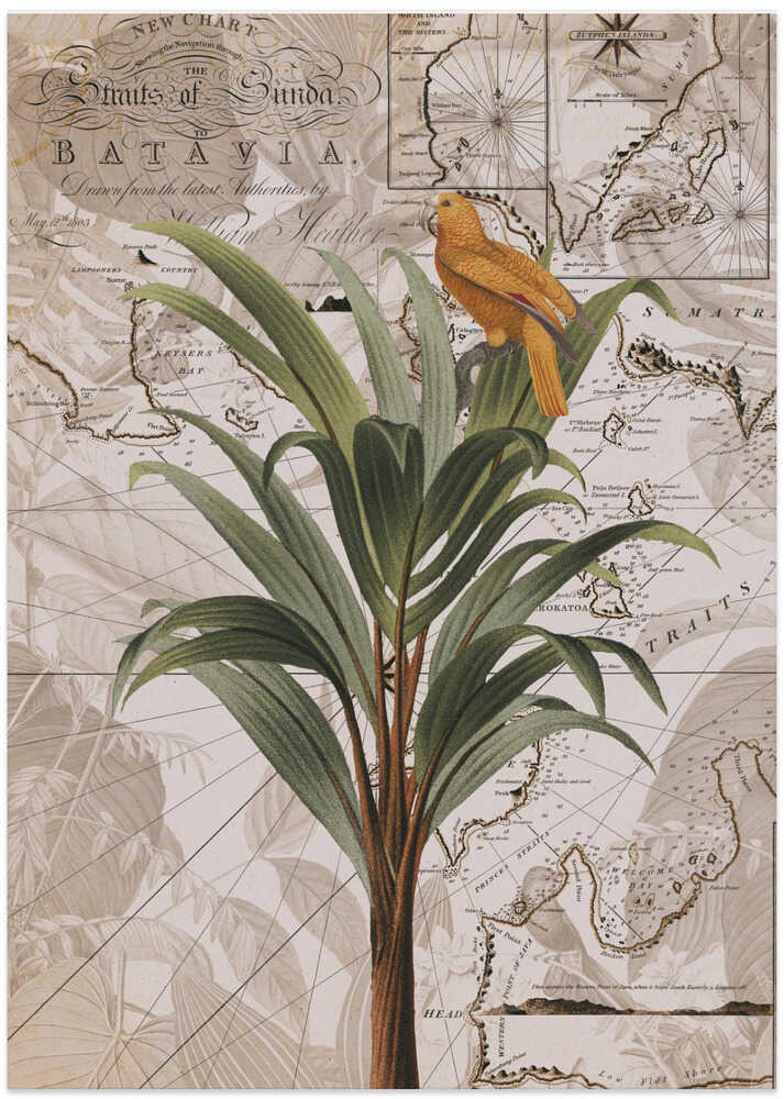 Indonesia Jungle Paradise No2