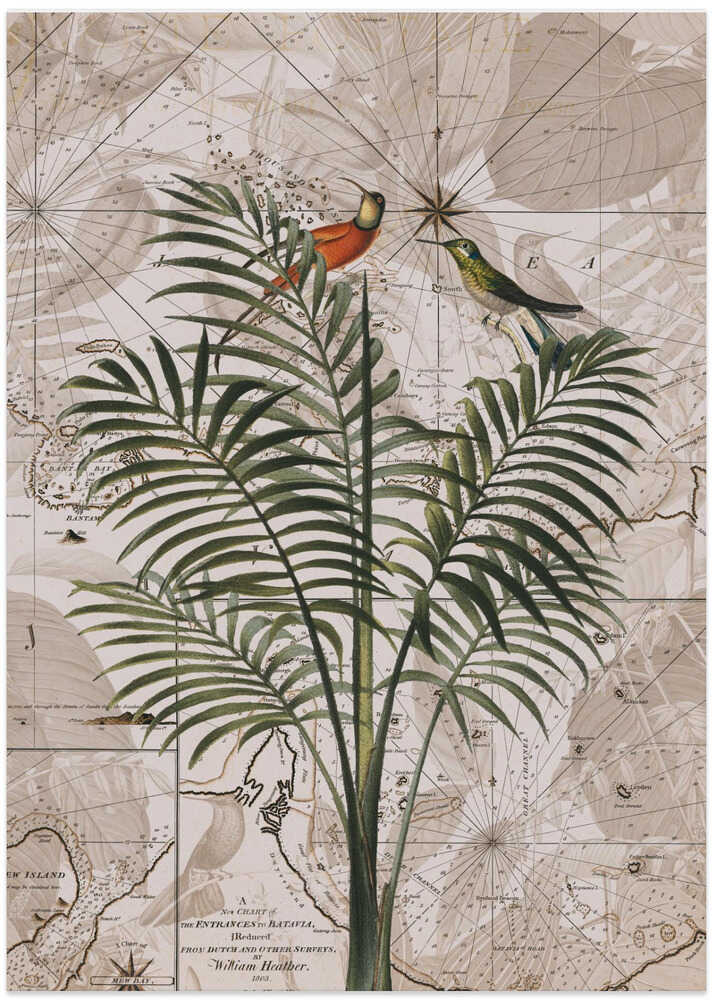 Indonesia Jungle Paradise No4