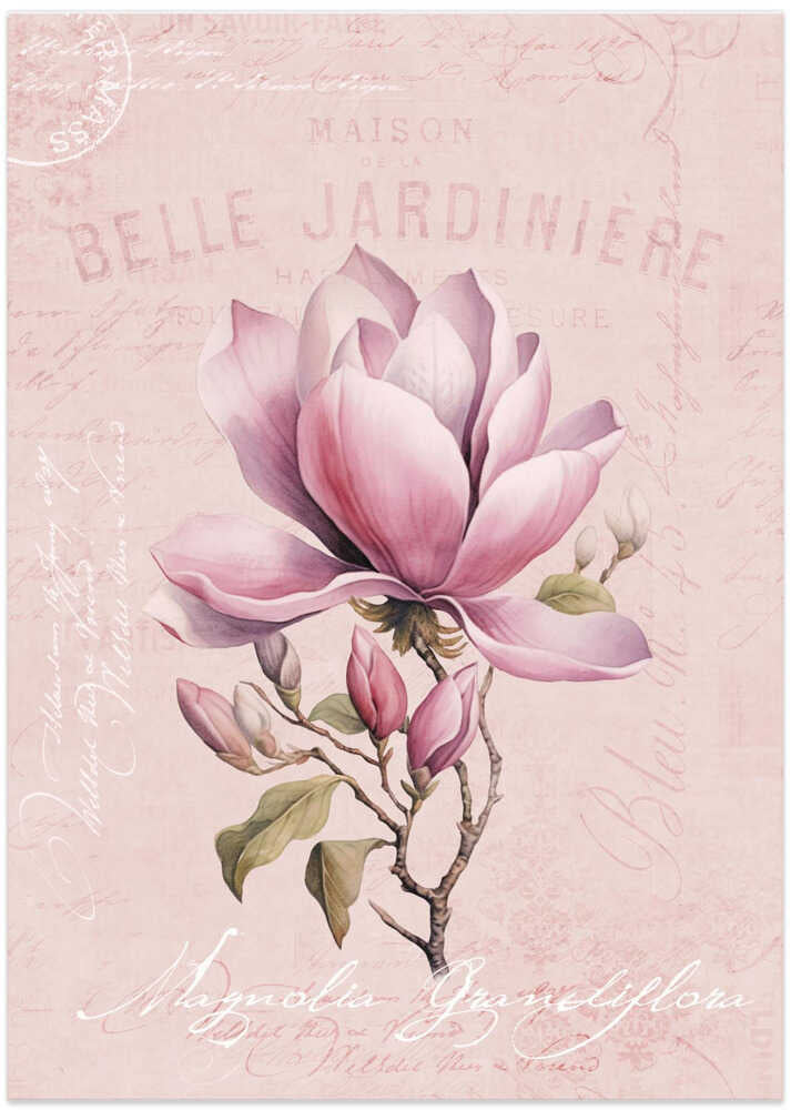 Magnolia Pink No2