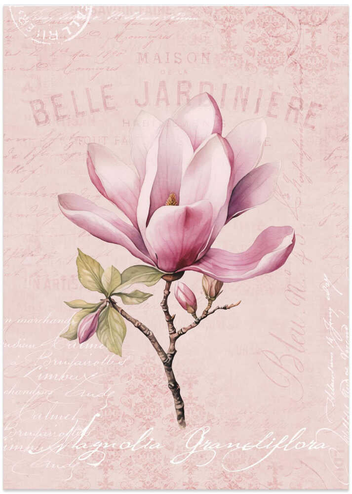 Magnolia Pink No1