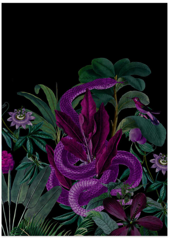 Midnight Jungle Snake