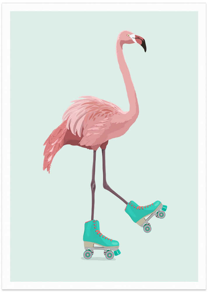 Flamingogo