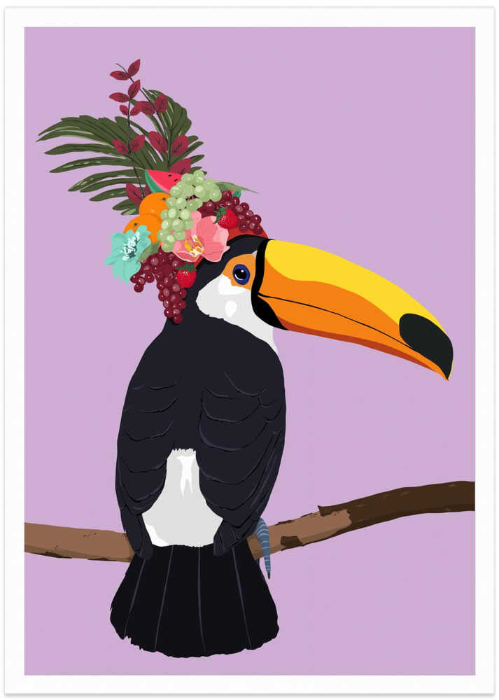 Toucan