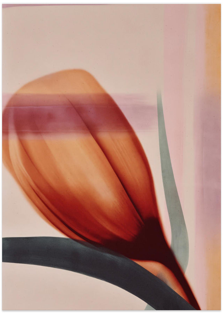 Tulip in Motion