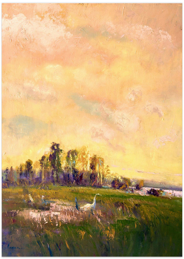 Sunlit Meadowscape