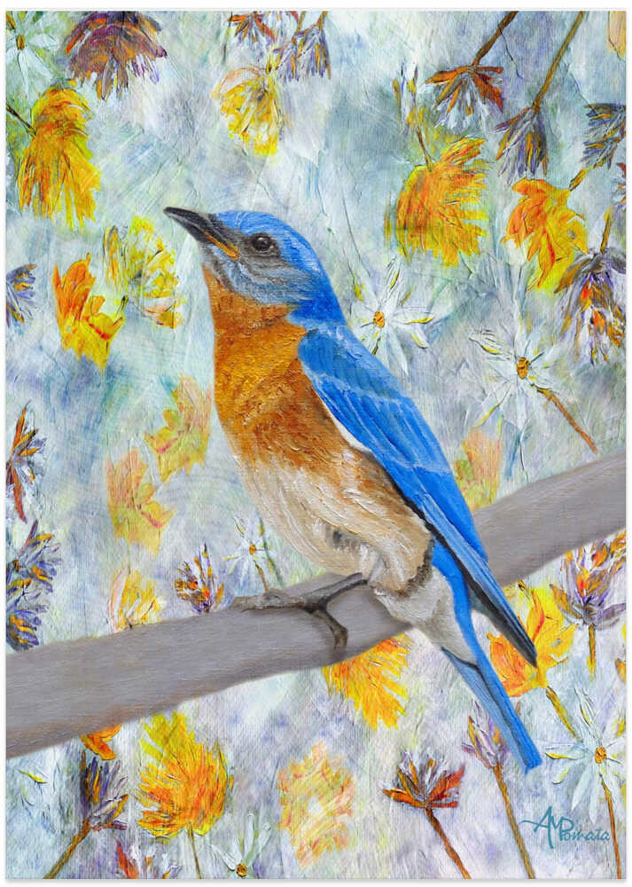 Springtime Eastern Bluebird