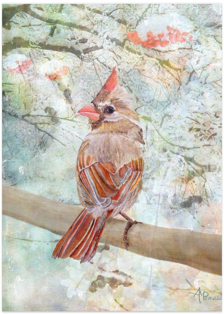 Under the Northern Light.png