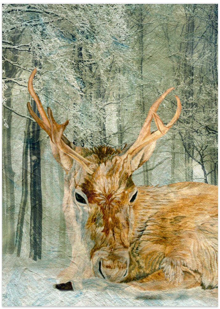 Reindeer In the Forest