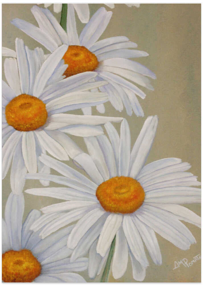 White Daisies