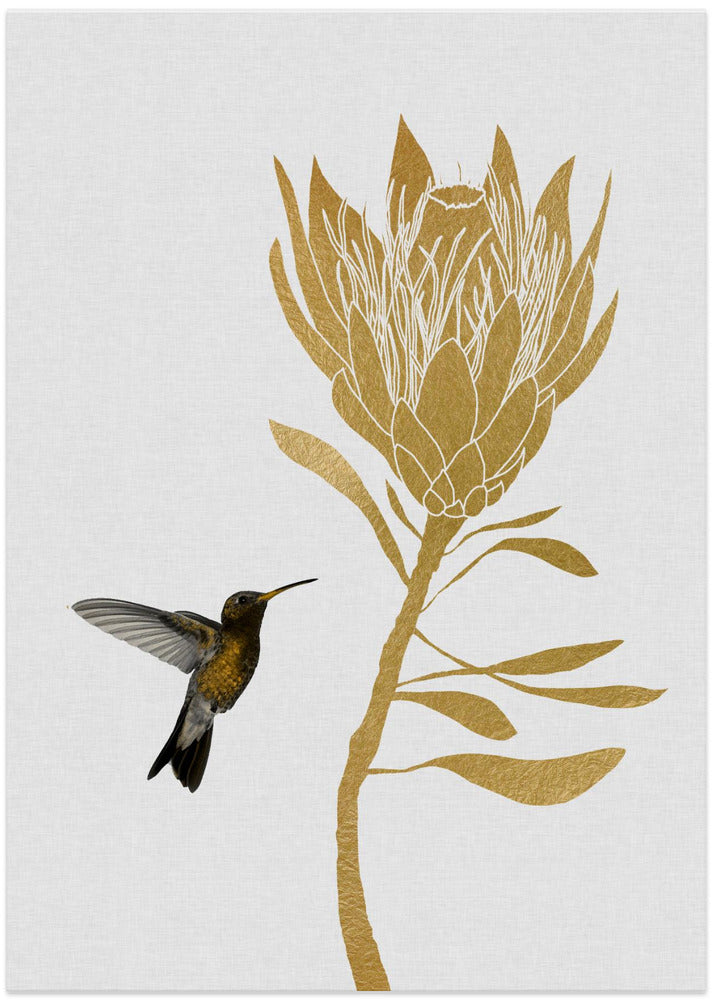 Hummingbird & Flower I