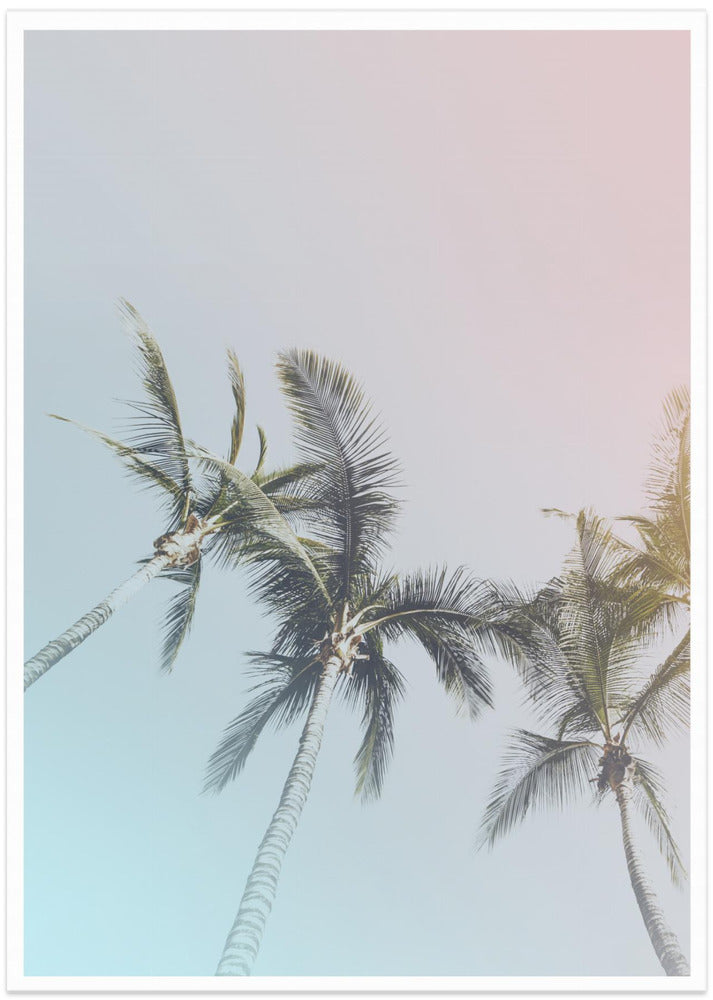Pastel Palms Bliss