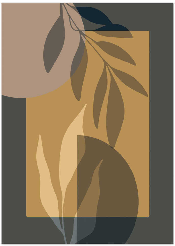 Natures Meets Geometry 2