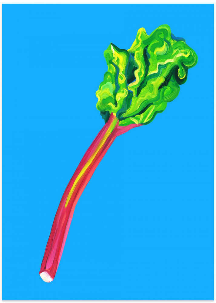 Rhubarb Light Blue