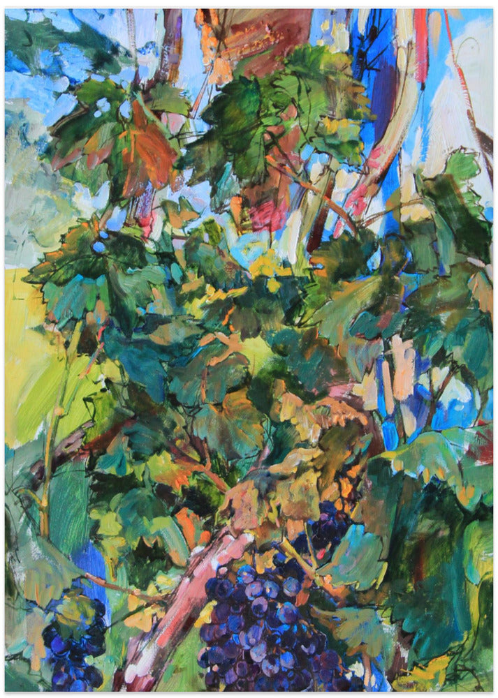 Grapevine near the house