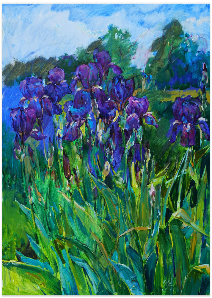 Irises