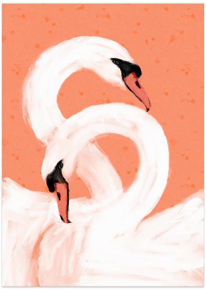 Graceful Swans