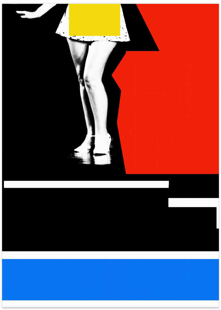 Photo Collage Lady No2